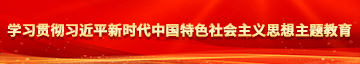 抽插大学生爽死了学习贯彻习近平新时代中国特色社会主义思想主题教育